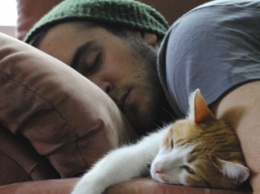 Не берите кота в постель: почему нельзя спать с хвостатым