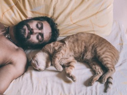 Ученые рассказали, почему каждому мужчине нужен кот