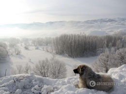 Метеоролог дала аномальный прогноз на ближайшие зимы в Украине