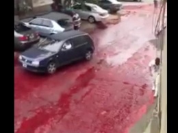 В Аргентине тысячи литров крови разлили на улице