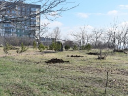 В Симферополе «Сад победы» появится в микрорайоне Маршала Жукова