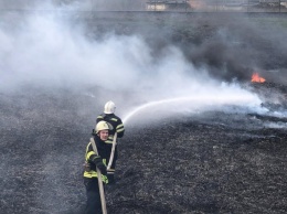 На Николаевщине пожарные тушили более 5 га сухостоя и камыша