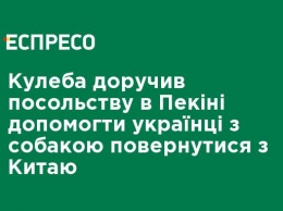 Кулеба поручил посольству в Пекине помочь украинке с собакой вернуться из Китая