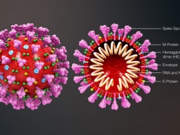 Остановит ли теплая погода распространение коронавируса?