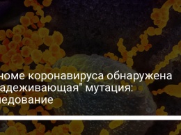 В геноме коронавируса обнаружена "обнадеживающая" мутация: исследование