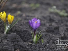 Погода в Кривом Роге 14 марта и гороскоп