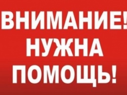 Запорожцев просят сдать кровь для девочки, которую сбил автомобиль: обновлено (ФОТО)