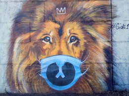 На набережной Днепра появился лев в маске