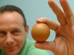 Круче, чем яйца: диетологи назвали богатые белком продукты