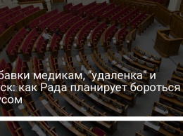 Надбавки медикам, "удаленка" и отпуск: как Рада планирует бороться с вирусом