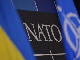НАТО протестирует в Украине пилотную программу партнерства