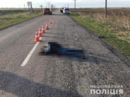 Бросил умирать: в Запорожской области ищут водителя сбившего девушку