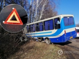 Под Сумами автобус попал в ДТП: погибли три человека, ехавших из Москвы