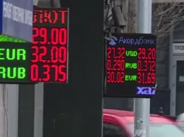 Достали все подкожные: украинцы "обнесли" обменки, доллар днем с огнем не сыскать