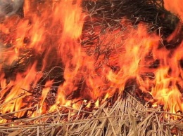В Запорожской области возле частного дома загорелось 3 тонны сена и соломы