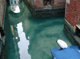 Благодаря карантину каналы Венеции стали чистыми