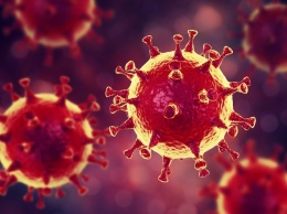 Стало известно, почему антибиотики не убивают коронавирус