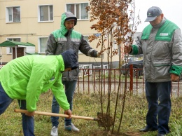 Акция "Сад памяти" к 75-летию Победы начнется посадкой 5000 деревьев