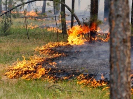 В Днепропетровской области более 800 раз горели поля