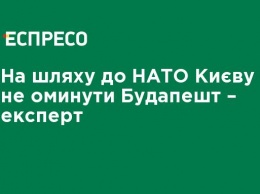 На пути к НАТО Киеву не обойти Будапешт - эксперт