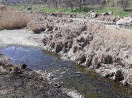 Экологи Кривого Рога промониторили реку Ингулец по семи точкам