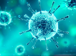 В Запорожской ОГА назвали экспресс-тесты на коронавирус неэффективными