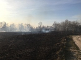 В Киеве горит парк "Муромец". Уже сгорело несколько гектаров травы