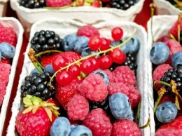 Урожаю ягод в Украине угрожают заморозки и засуха