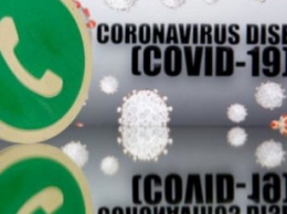 WhatsApp создаст специальный чат-бот для информирования о COVID-19
