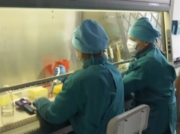 В Украине создадут тест-системы на коронавирус