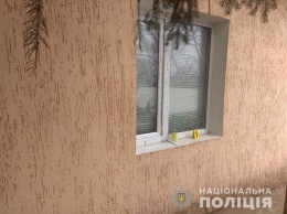 В Николаевской области неизвестные ограбили дом фермера и избили его жену и внучку, - ФОТО
