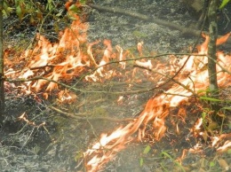 В Запорожской области за сутки сотня спасателей выезжала на пожары в экосистемах