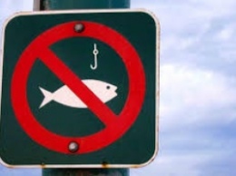 С 1 апреля в Запорожской области запретят ловить рыбу