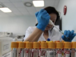 В Роспотребнадзоре рассказали о возможностях отечественных систем тестирования на коронавирус