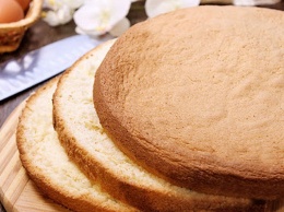 Бюджетные и вкусные рецепты: как приготовить бисквит в домашних условиях