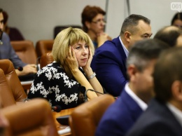 Депутатка Запорожского городского совета задекларировала доход в полмиллиона гривен и покупку авто