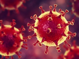 Может ли коронавирус вызвать бесплодие: мнение ученых