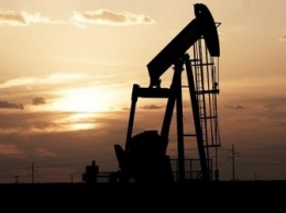 Цены на нефть поднялись выше $28