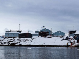 Украинских полярников в Антарктиде "проинспектировал" тюлень