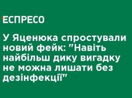 У Яценюка опровергли новый фейк: "Даже самую дикую утку нельзя оставлять без дезинфекции"
