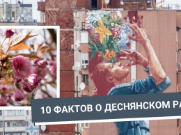 Монетный дом и сакуры. 10 удивительных фактов о Деснянском районе