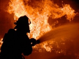 В Закарпатской области во время пожара в доме сгорели двое пенсионеров