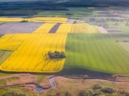 Успейте до открытия рынка земли: украинцам рассказали, как бесплатно получить участок