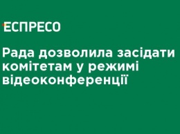 Рада разрешила заседать комитетам в режиме видеоконференции