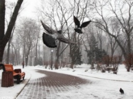 Киев замело снегом в последний день марта: яркие фото и видео