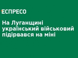 На Луганщине украинский военный подорвался на мине