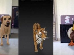 Развлечение на карантине: смотрим 3D животных в Google на iPhone