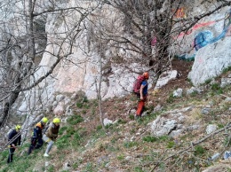 Несмотря на запрет на посещение лесов, крымчане не отказываются от вылазок на природу