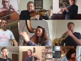 Карантинная консерватория: оркестры разных стран дали концерты в интернете
