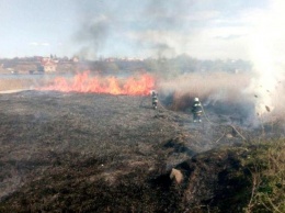 В Одесской области горит национальный природный парк